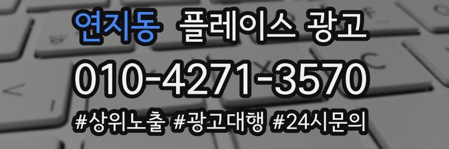 연지동 플레이스 광고