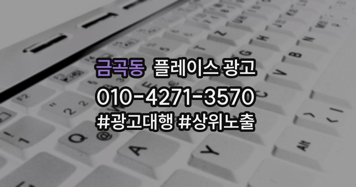 금곡동 플레이스 광고