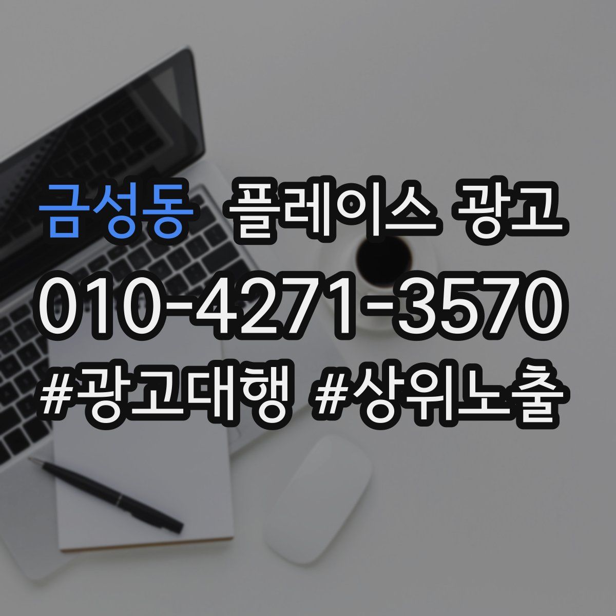 금성동 플레이스 광고