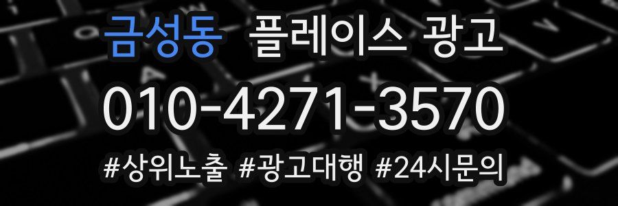 금성동 플레이스 광고
