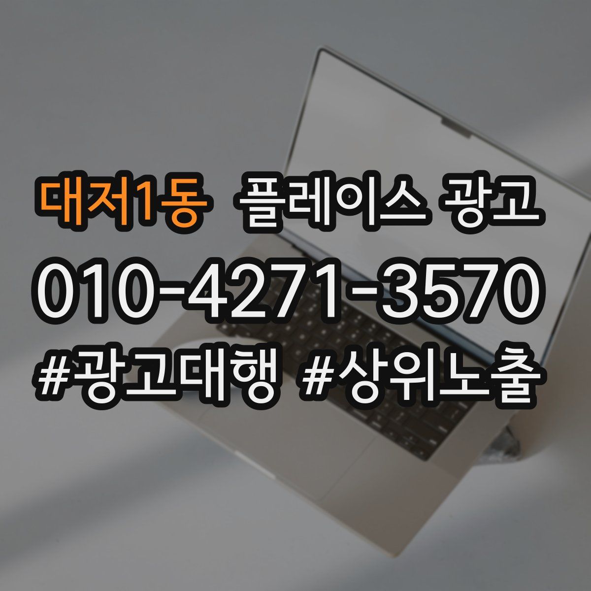 대저1동 플레이스 광고