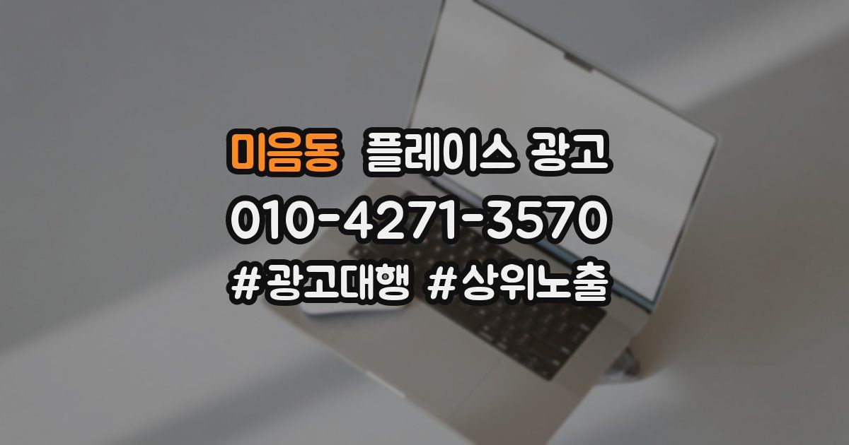 미음동 플레이스 광고