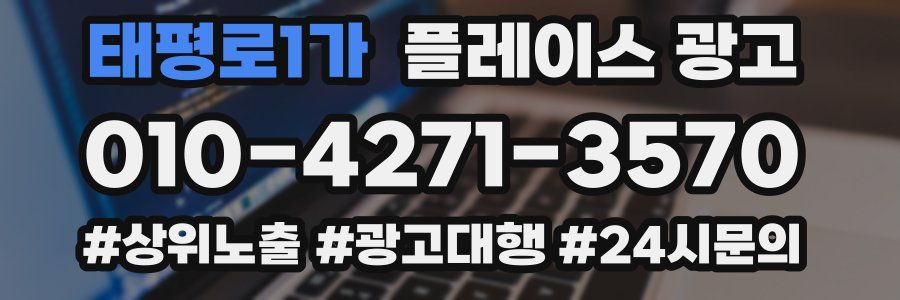 태평로1가 플레이스 광고