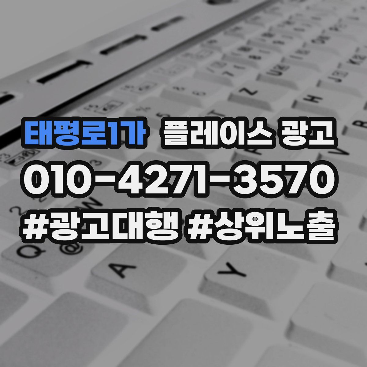 태평로1가 플레이스 광고
