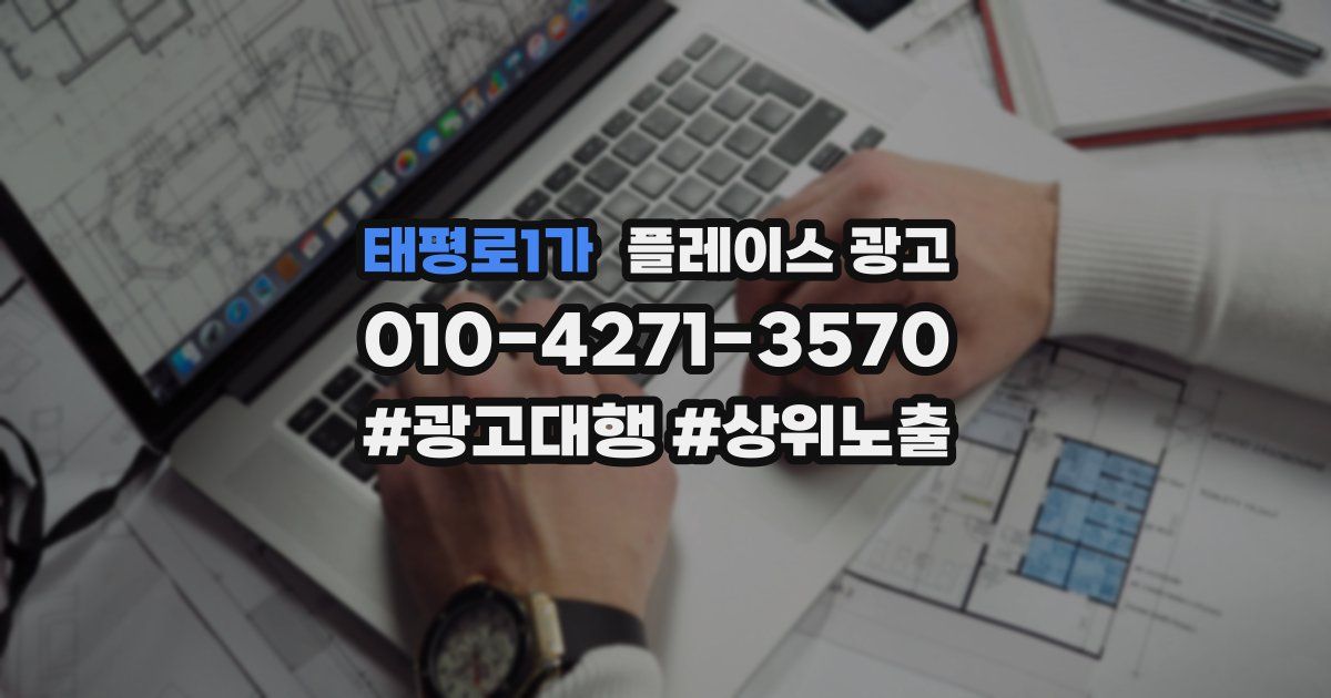 태평로1가 플레이스 광고