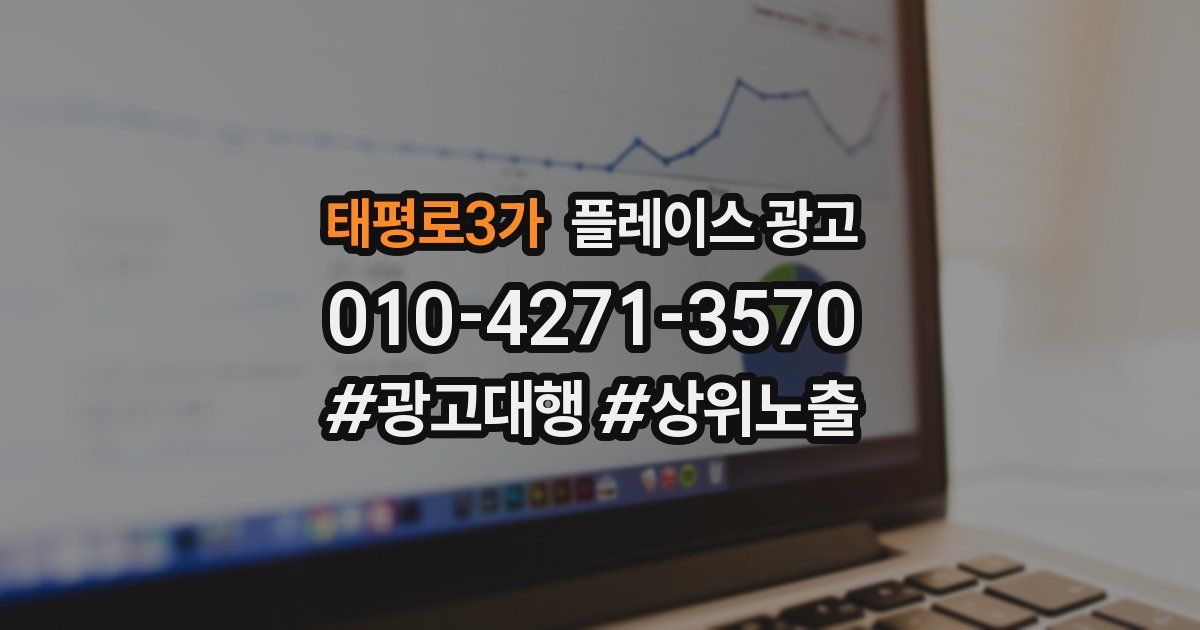 태평로3가 플레이스 광고
