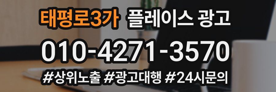 태평로3가 플레이스 광고