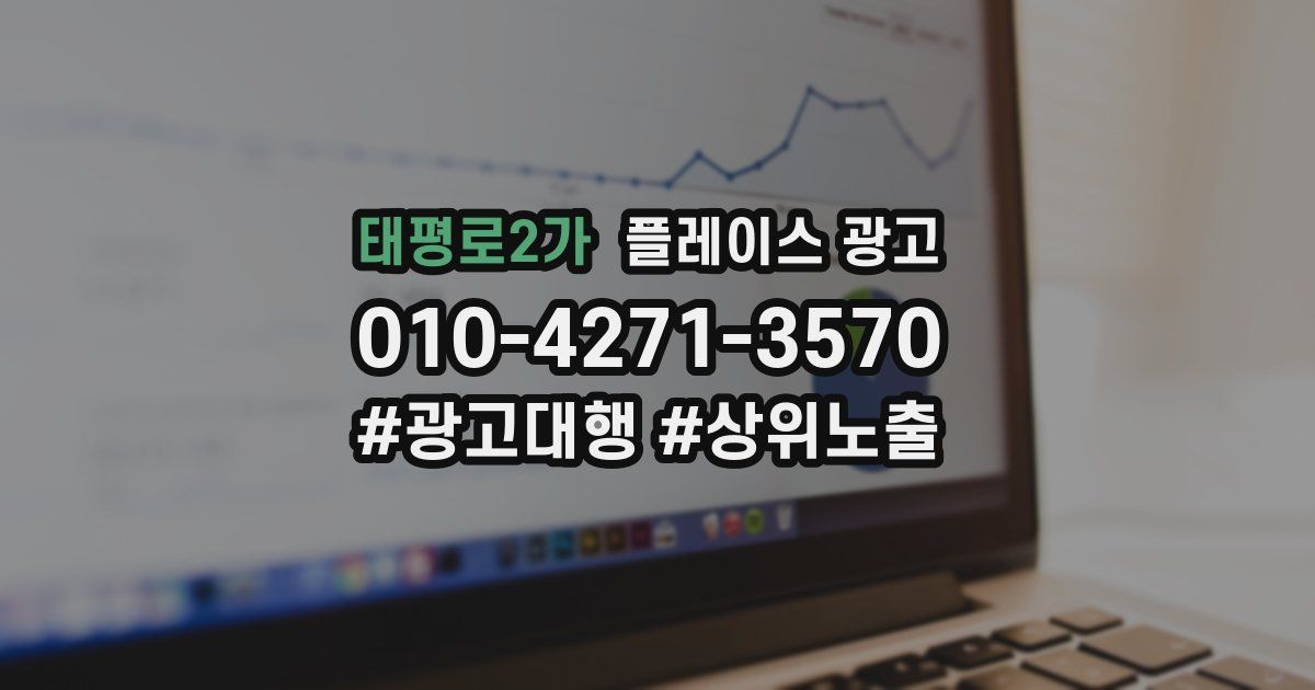 태평로2가 플레이스 광고