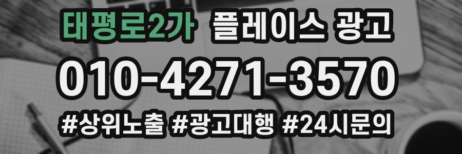 태평로2가 플레이스 광고