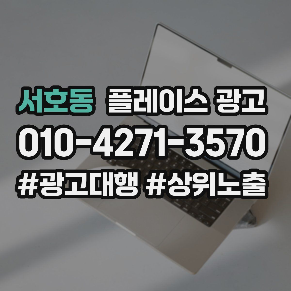 서호동 플레이스 광고