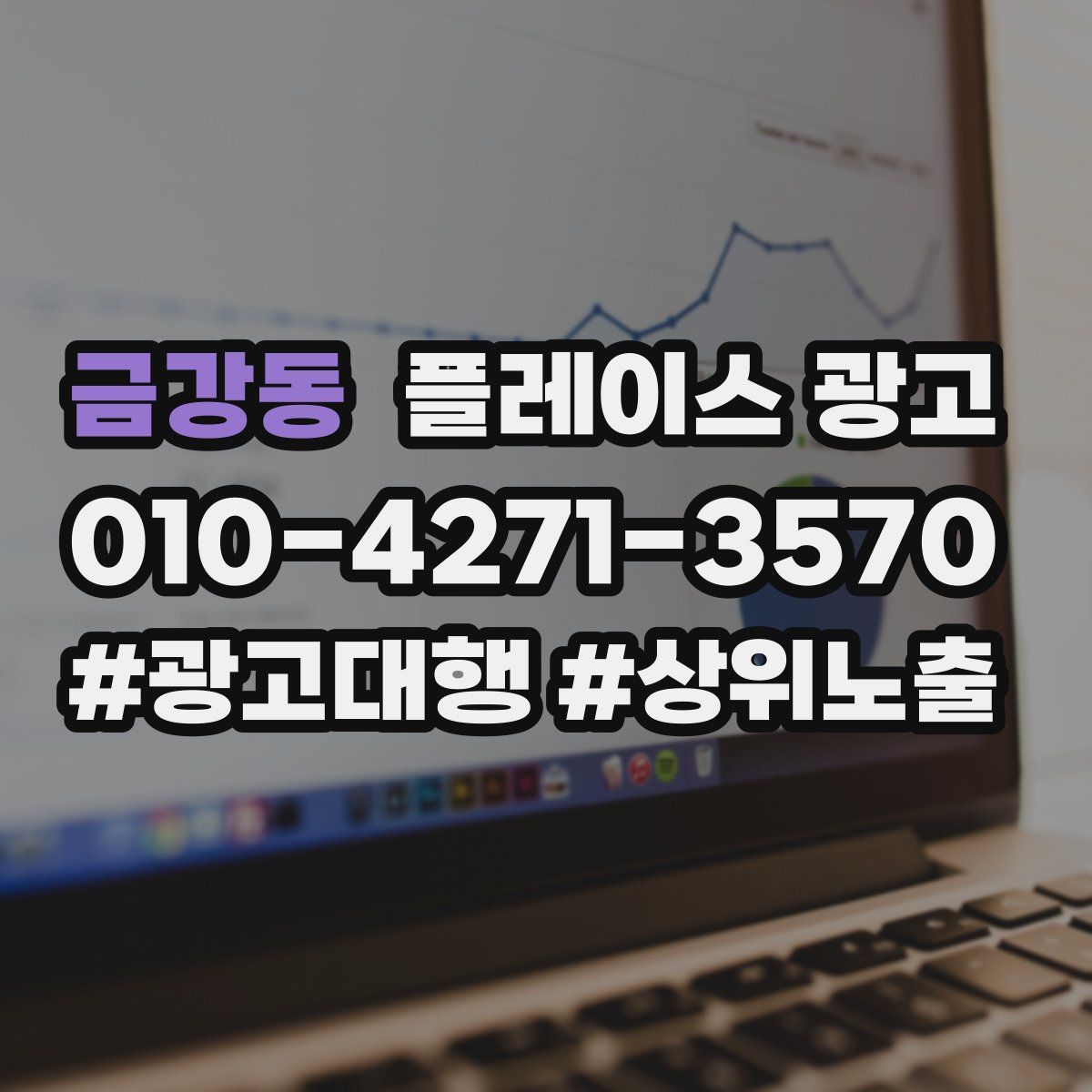 금강동 플레이스 광고