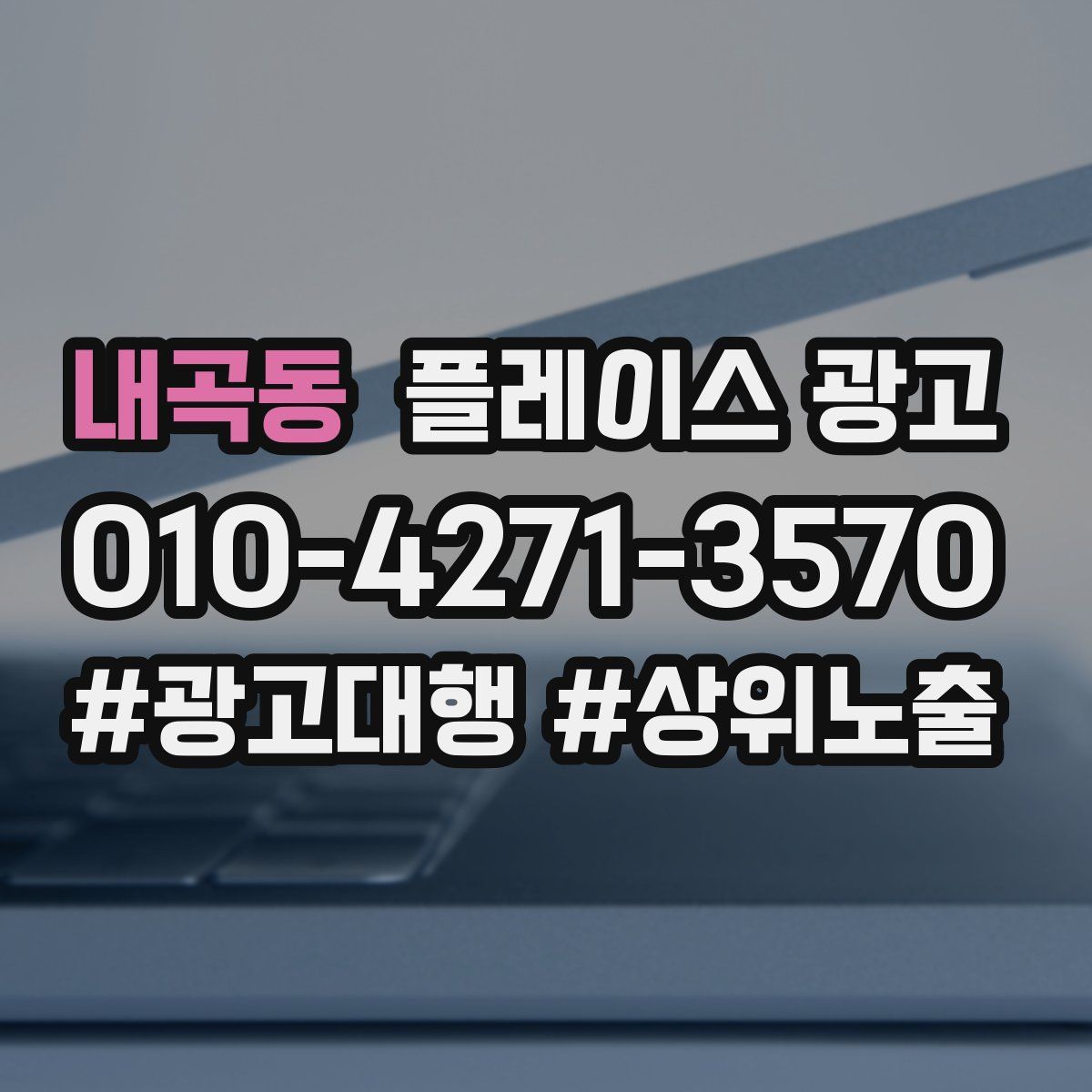 내곡동 플레이스 광고