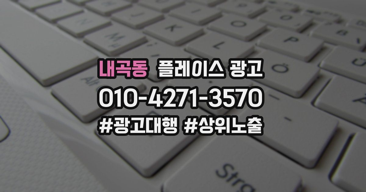 내곡동 플레이스 광고
