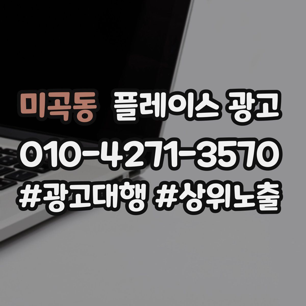 미곡동 플레이스 광고