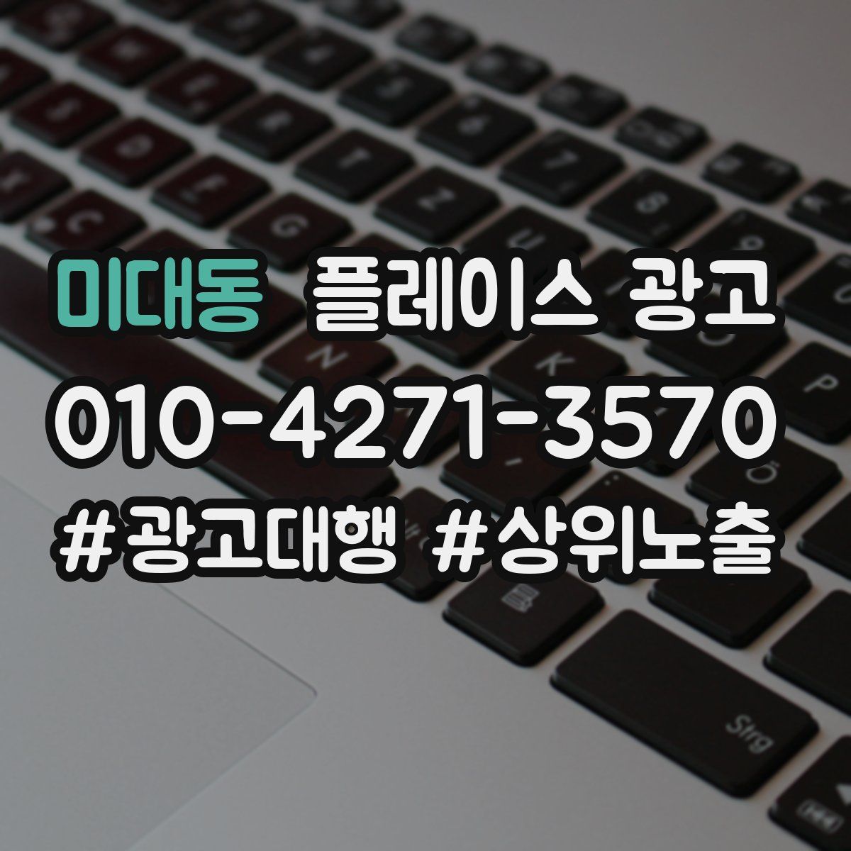 미대동 플레이스 광고