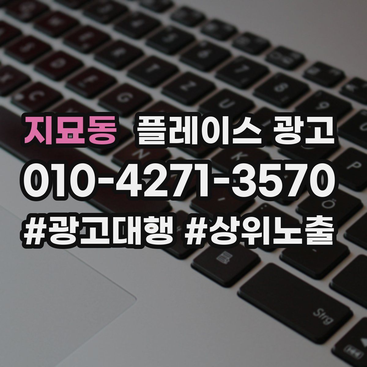 지묘동 플레이스 광고