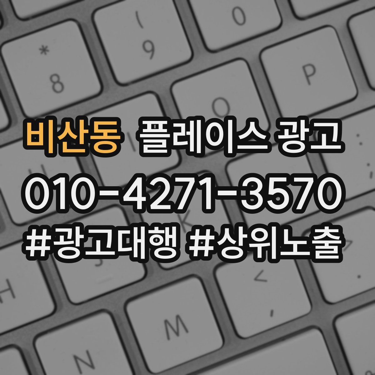 비산동 플레이스 광고