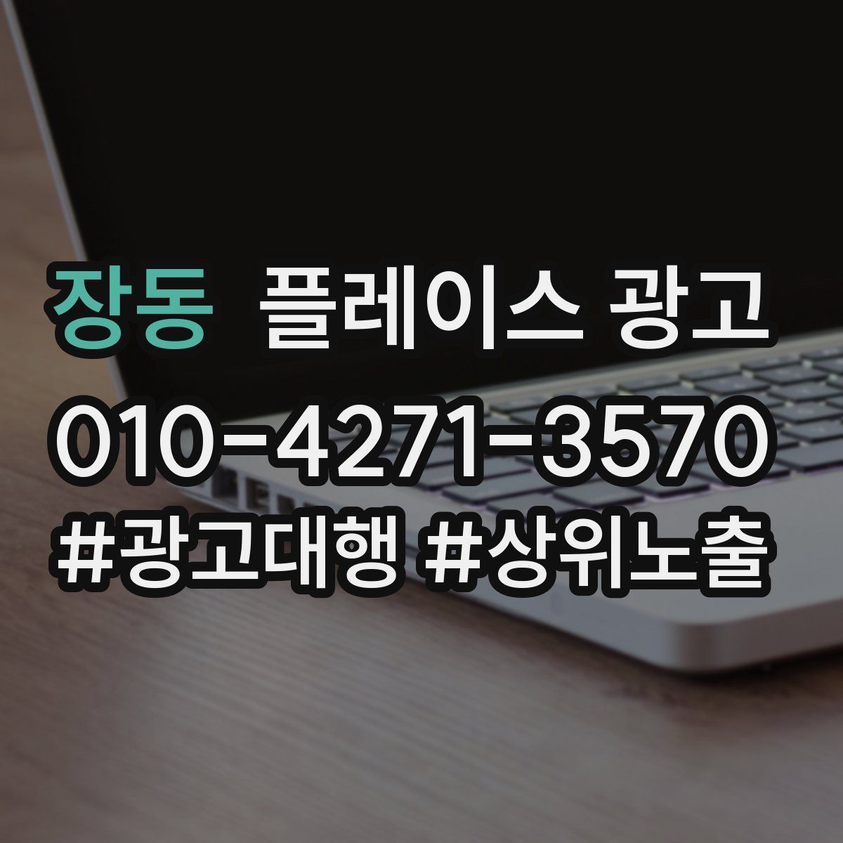 장동 플레이스 광고