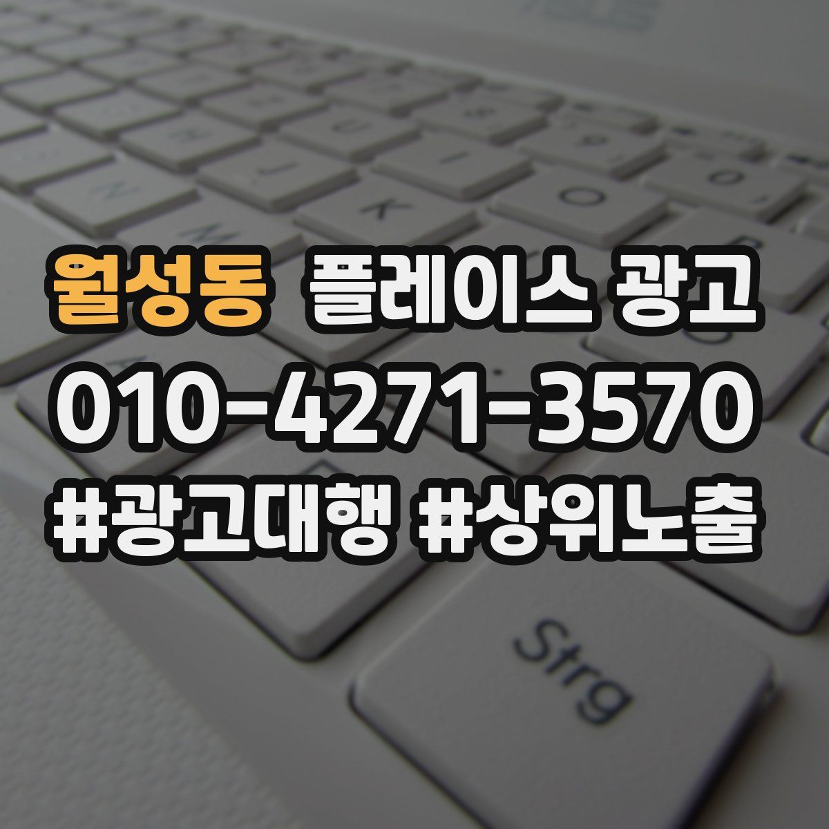 월성동 플레이스 광고