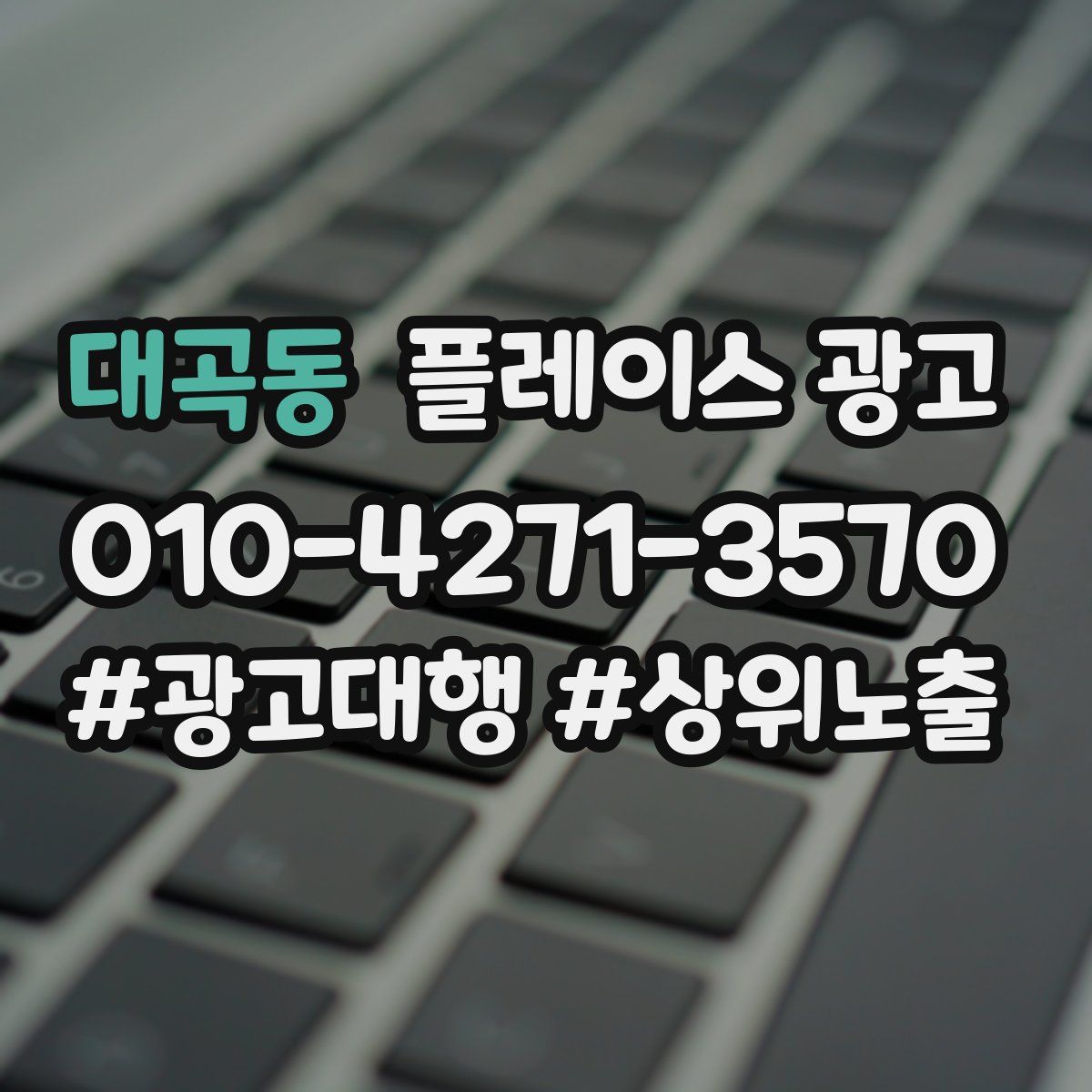 대곡동 플레이스 광고