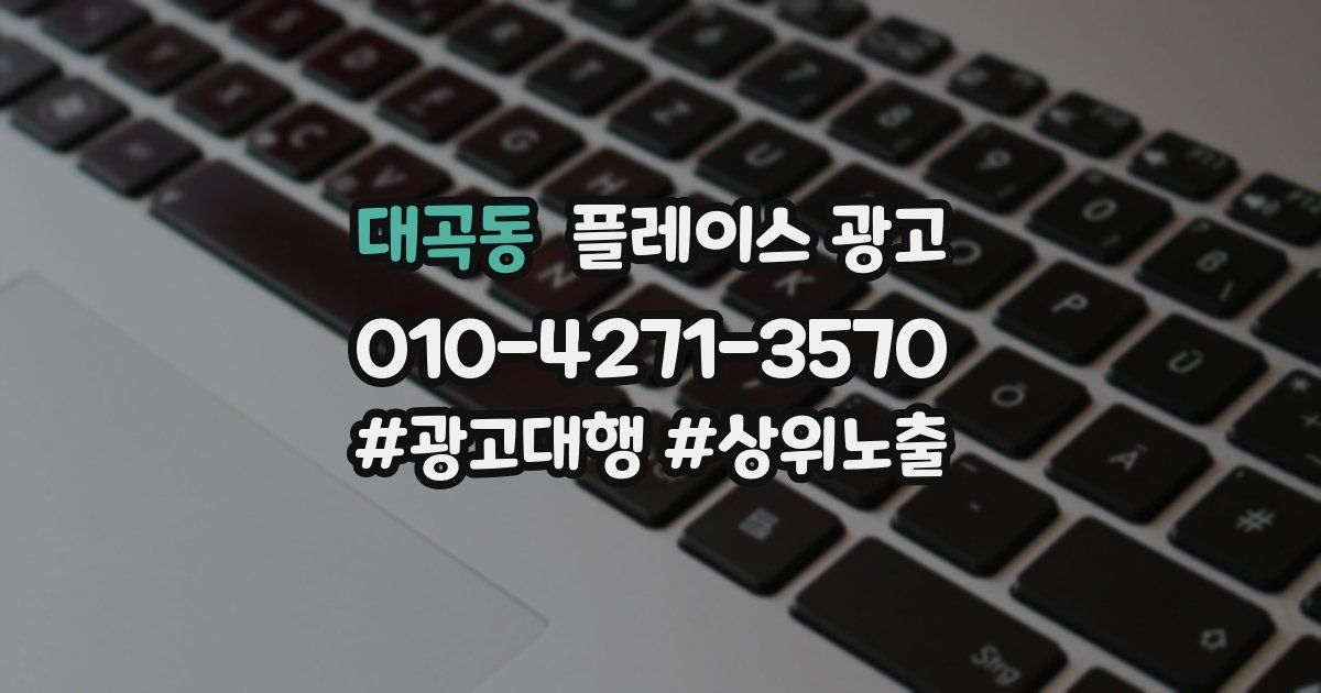 대곡동 플레이스 광고