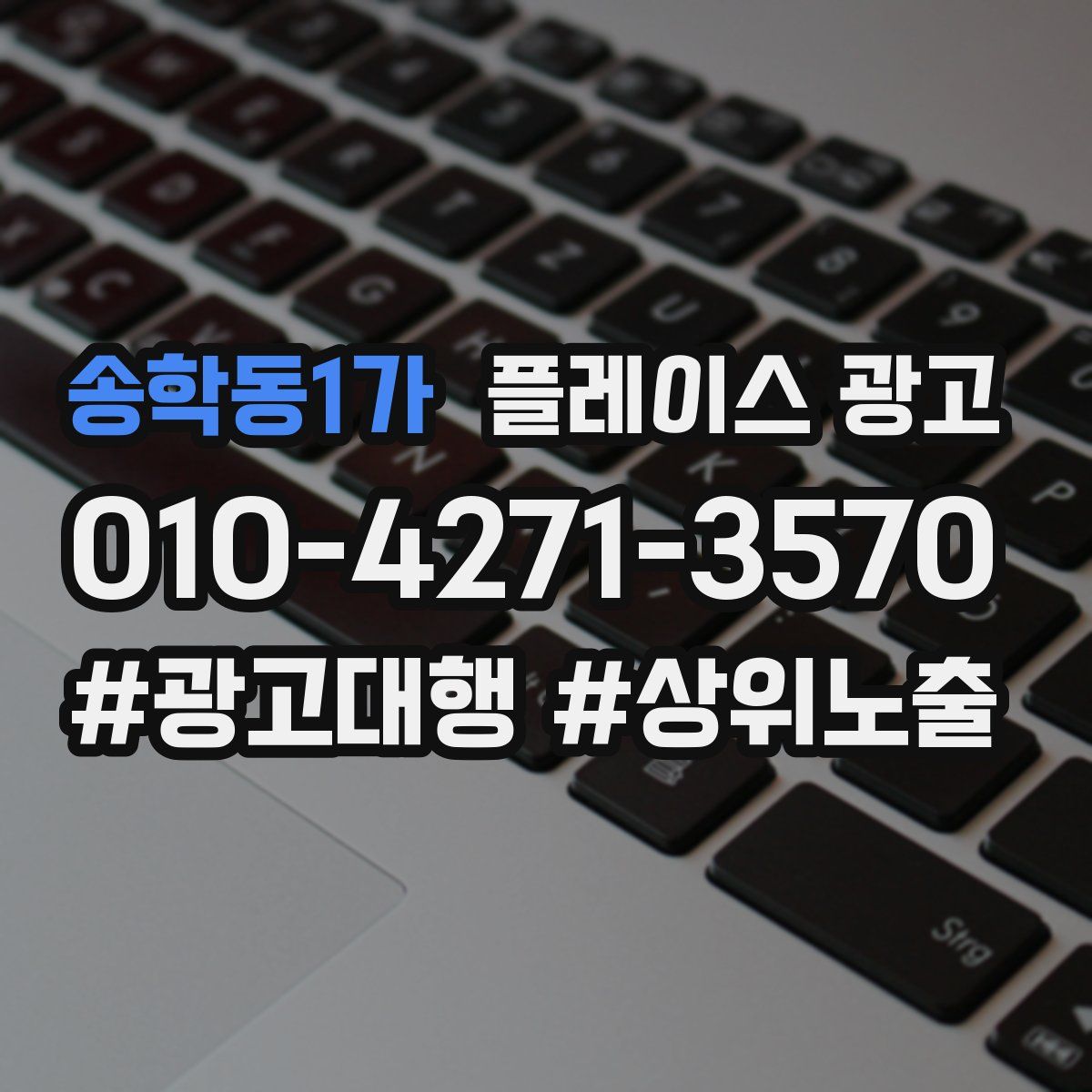 송학동1가 플레이스 광고