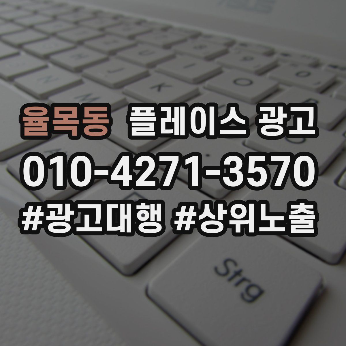 율목동 플레이스 광고