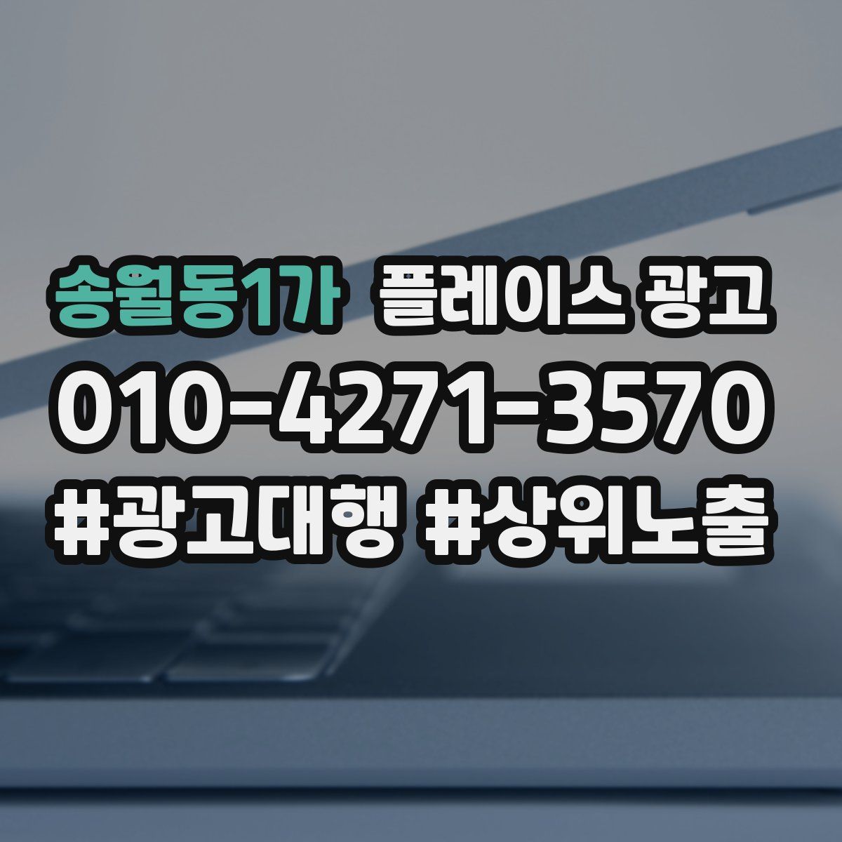 송월동1가 플레이스 광고