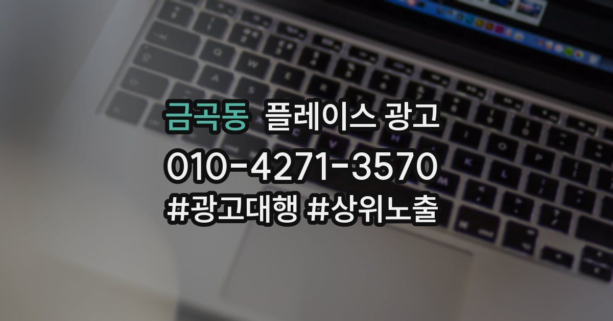 금곡동 플레이스 광고
