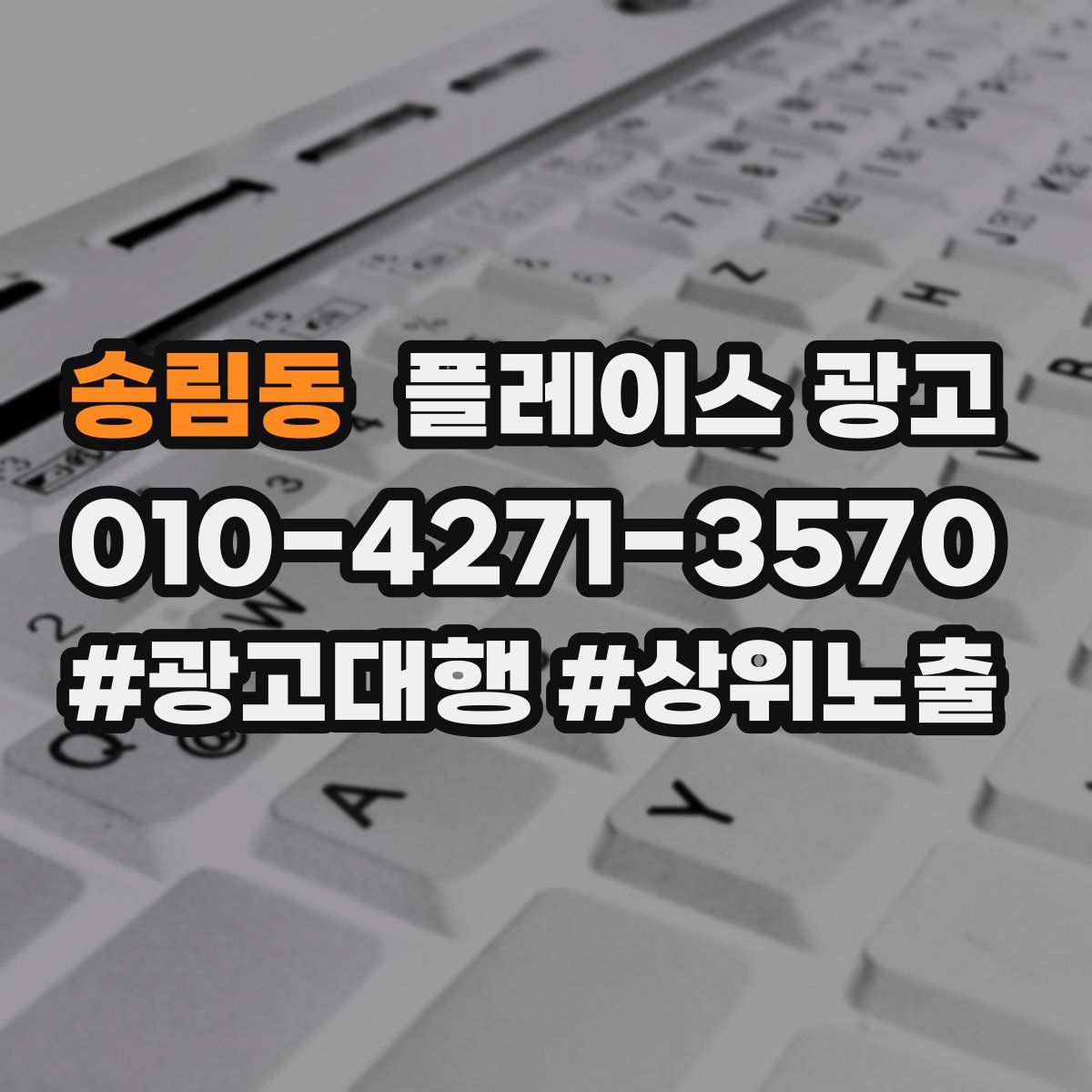 송림동 플레이스 광고