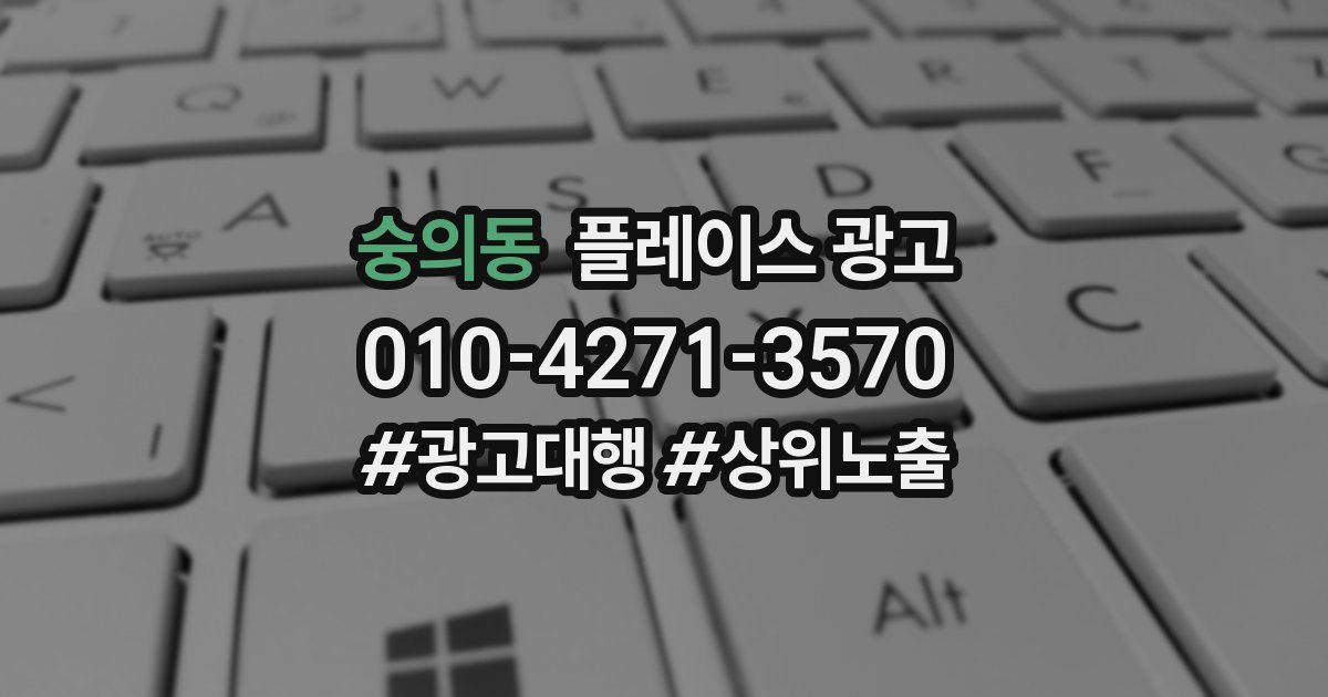 숭의동 플레이스 광고