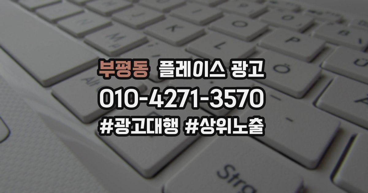 부평동 플레이스 광고