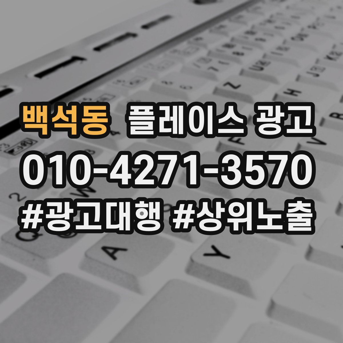 백석동 플레이스 광고