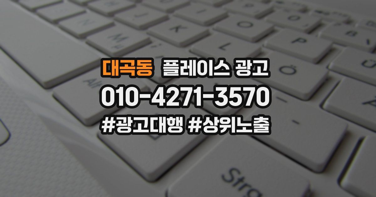 대곡동 플레이스 광고