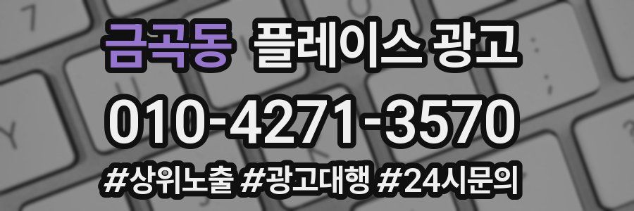 금곡동 플레이스 광고