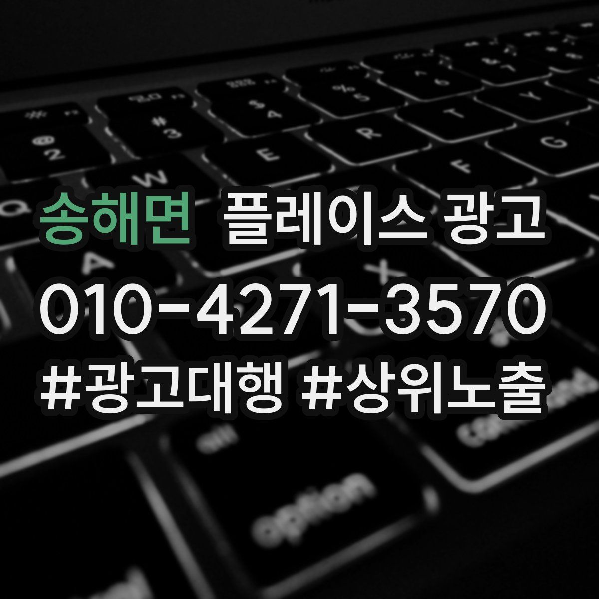 송해면 플레이스 광고