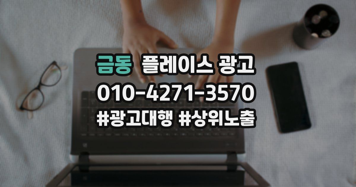 금동 플레이스 광고