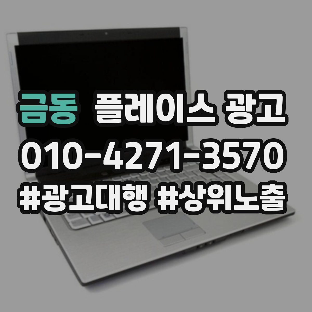 금동 플레이스 광고