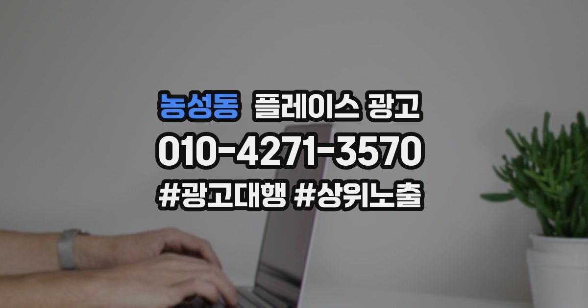 농성동 플레이스 광고