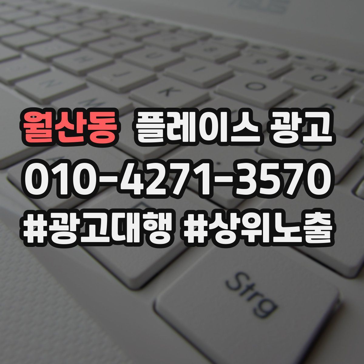 월산동 플레이스 광고