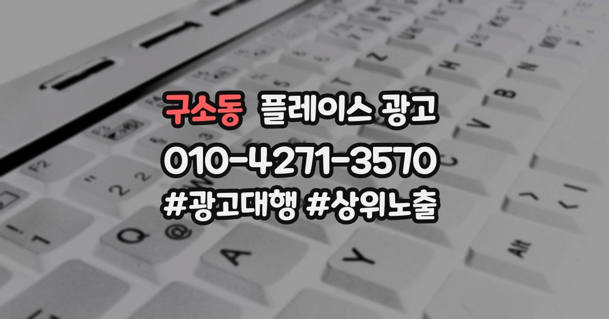 구소동 플레이스 광고