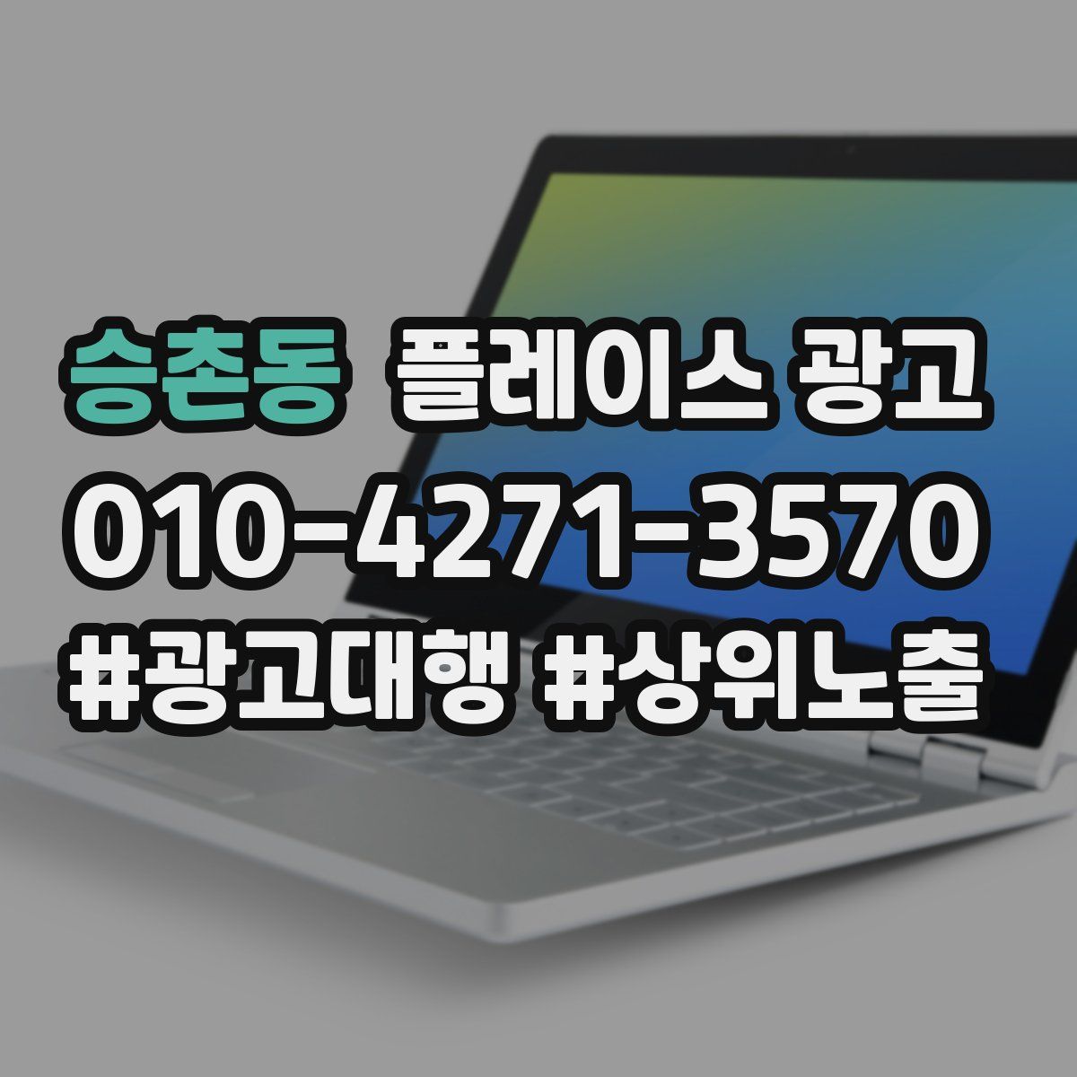 승촌동 플레이스 광고