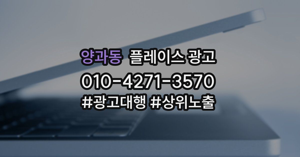 양과동 플레이스 광고