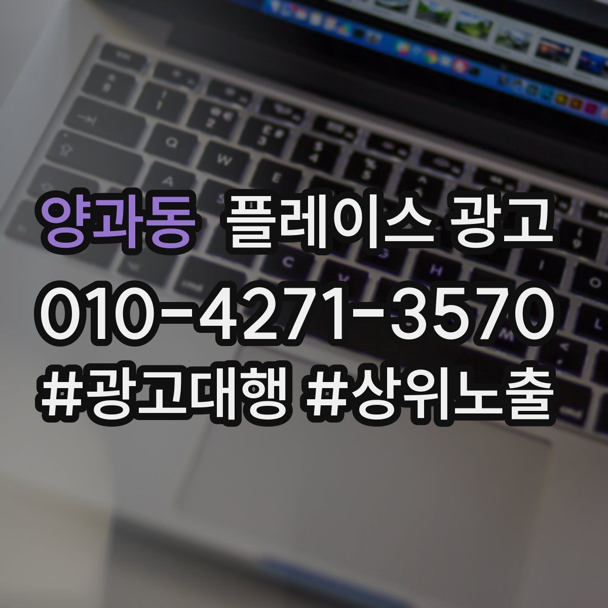 양과동 플레이스 광고