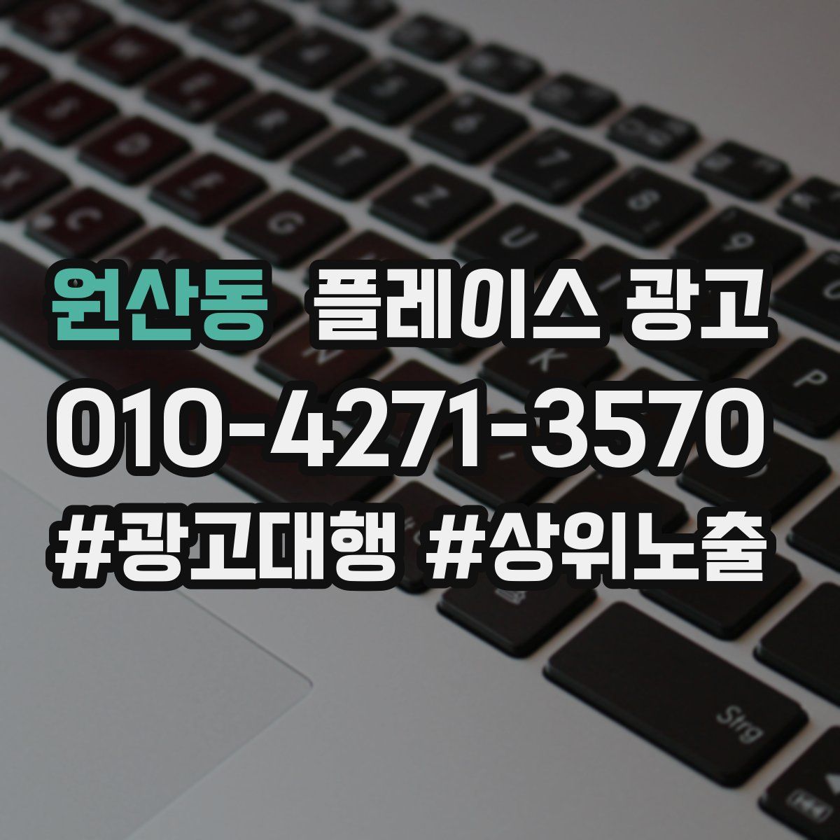 원산동 플레이스 광고