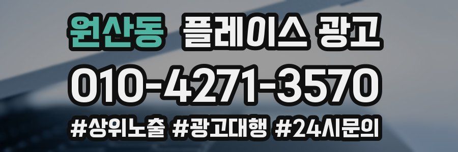 원산동 플레이스 광고