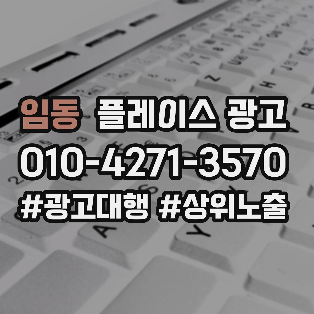 임동 플레이스 광고