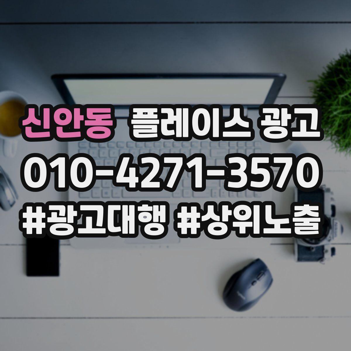 신안동 플레이스 광고
