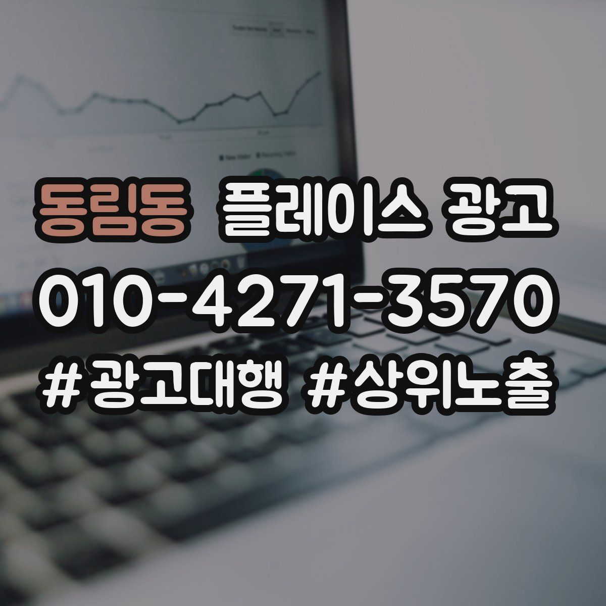동림동 플레이스 광고
