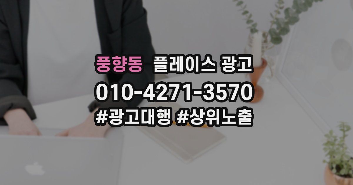 풍향동 플레이스 광고